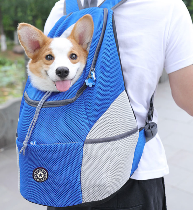 Hondenrugzak voor kleine honden tot 10 kg | Comfortabel, ademend en verstelbaar | Veilige draagtas voor wandelen en reizen | Duurzaam en waterbestendig materiaal
