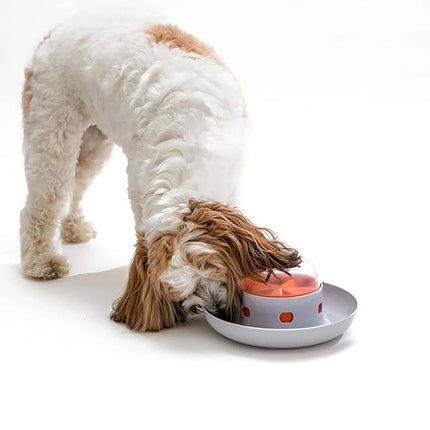 PawMaze interactieve hondenvoerbak | Slowfeeder voor langzamer eten | Mentale stimulatie | Voedselveilig en duurzaam | Geschikt voor alle hondenrassen