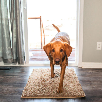 CleanPaw | Hou Je Huis Schoon, Voorkom Modderige Pootafdrukken Na Wandelingen Met Je Hond