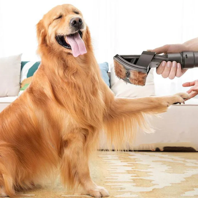 FurVac | Elektrische huisdierhaar verwijderaar voor honden en katten | Directe haaropname | Pijnloze verzorging | Geschikt voor alle vachttypes | Houdt huis schoon en haarvrij