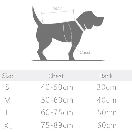 PawShield geïsoleerde hondenjas voor winterweer | Beschermend, reflecterend en waterafstotend | Verstelbare pasvorm voor kleine en grote honden