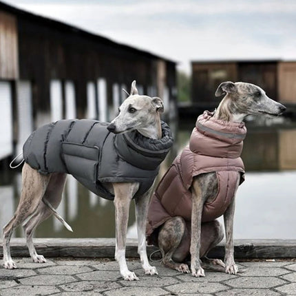 PawShield geïsoleerde hondenjas voor winterweer | Beschermend, reflecterend en waterafstotend | Verstelbare pasvorm voor kleine en grote honden