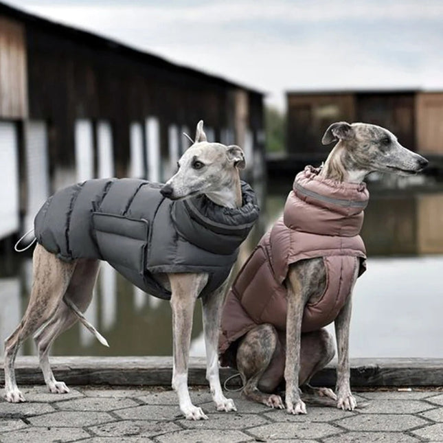 PawShield geïsoleerde hondenjas voor winterweer | Beschermend, reflecterend en waterafstotend | Verstelbare pasvorm voor kleine en grote honden