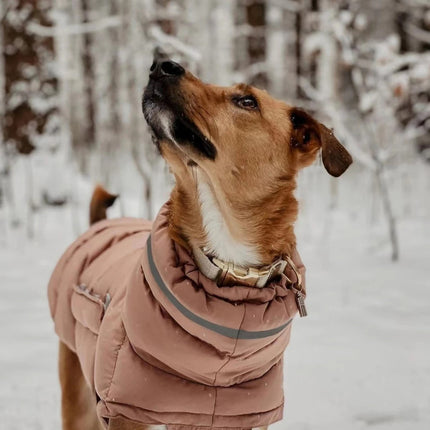 PawShield geïsoleerde hondenjas voor winterweer | Beschermend, reflecterend en waterafstotend | Verstelbare pasvorm voor kleine en grote honden
