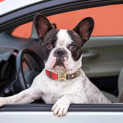 Mila Hond Accessoire | Aanpasbare Naam Gravure | Zachte Voering | Diverse Kleuren | PU-leer | Veilig en Stijlvol | Geschikt voor Kleine en Grote Honden