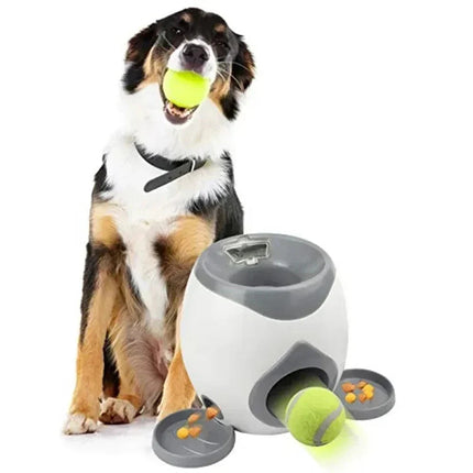 PlayPal | Automatisch Hondenspeelgoed voor Actief en Gezond Huisdier | Interactieve Ballenwerper voor Beweging en Mentale Stimulatie | Compact Formaat voor Binnen en Buiten | Geschikt voor Alle Hondenrassen