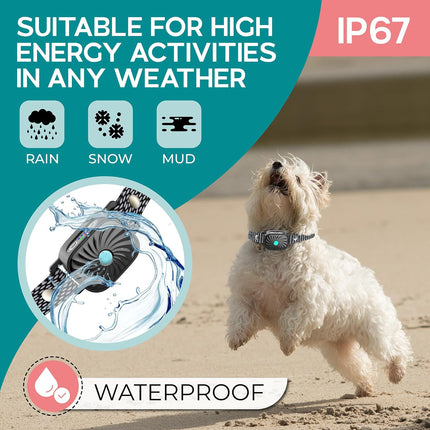 PawSilence anti-blaf halsband voor kleine honden | Verstelbare waterbestendige trainingshalsband tegen overmatig blaffen | Comfortabel en effectief in alle weersomstandigheden