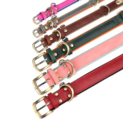 Hondenhalsband Pippa | Verstelbaar PU-leer | Inclusief Naamplaat | Veilig en Comfortabel