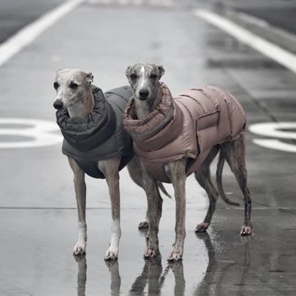 PawShield geïsoleerde hondenjas voor winterweer | Beschermend, reflecterend en waterafstotend | Verstelbare pasvorm voor kleine en grote honden
