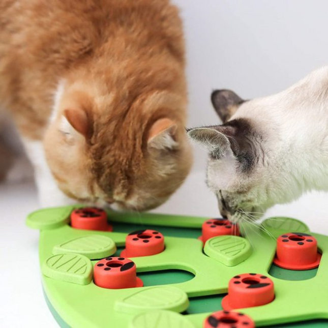 CleverTail interactieve voerbak voor katten | Puzzel en slowfeeder tegen schrokken | Mentale uitdaging en anti-verveling | Duurzaam en diervriendelijk materiaal