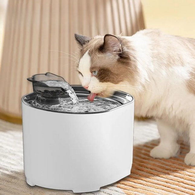FreshFlow Drinkfontein voor Katten | Waterfontein met Geavanceerde Filtratie | Stil | Stimuleert Gezonde Hydratatie | USB-Voeding | Modern Ontwerp | 2L Inhoud