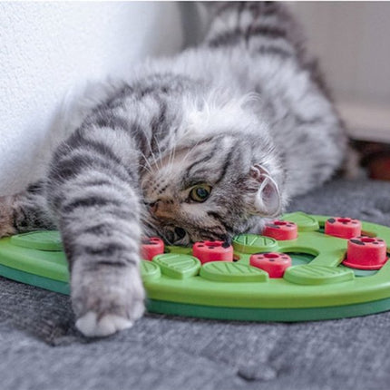 CleverTail interactieve voerbak voor katten | Puzzel en slowfeeder tegen schrokken | Mentale uitdaging en anti-verveling | Duurzaam en diervriendelijk materiaal