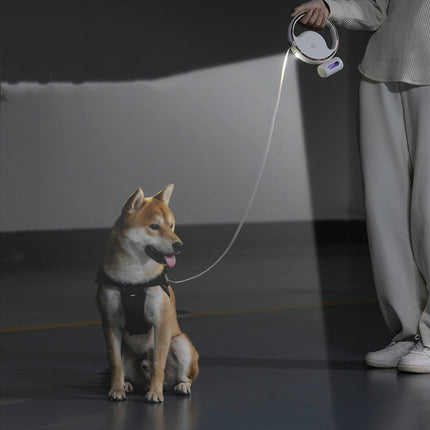 NightPaws LED hondenriem met ingebouwde zaklamp en zakhouder | Reflecterend | Oplaadbaar | 3 meter lengte | Comfortabele ergonomische grip