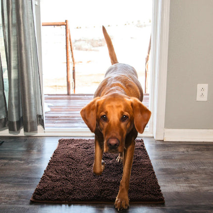 CleanPaw | Hou Je Huis Schoon, Voorkom Modderige Pootafdrukken Na Wandelingen Met Je Hond