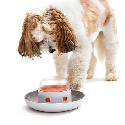 PawMaze interactieve hondenvoerbak | Slowfeeder voor langzamer eten | Mentale stimulatie | Voedselveilig en duurzaam | Geschikt voor alle hondenrassen