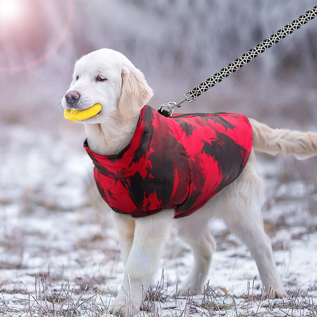 Geïsoleerde winterjas voor honden | Warm en waterdicht | Comfortabele pasvorm en verstelbare riemen | Bescherming tegen wind en regen | Geschikt voor winterwandelingen