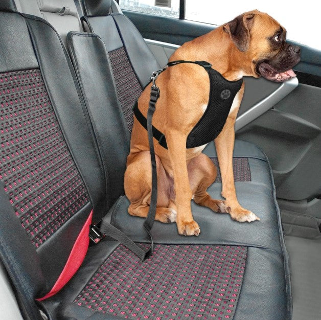 PupGuard verstelbare autogordel hond | Veiligheidsriem voor honden van alle maten | Universele aansluiting | Voorkomt afleiding en verhoogt veiligheid in de auto