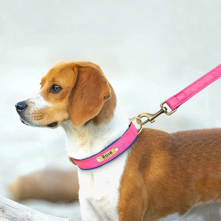 Hondenhalsband Pippa | Verstelbaar PU-leer | Inclusief Naamplaat | Veilig en Comfortabel