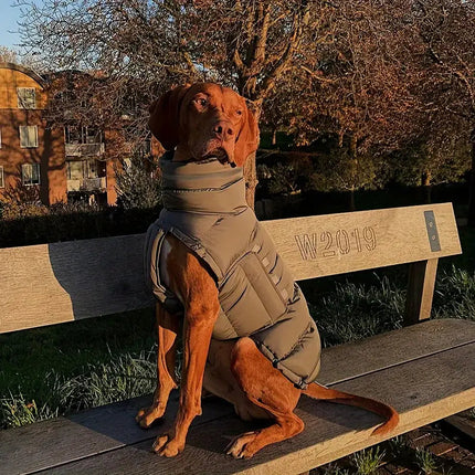 PawShield geïsoleerde hondenjas voor winterweer | Beschermend, reflecterend en waterafstotend | Verstelbare pasvorm voor kleine en grote honden