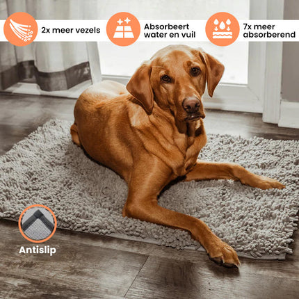 CleanPaw | Hou Je Huis Schoon, Voorkom Modderige Pootafdrukken Na Wandelingen Met Je Hond
