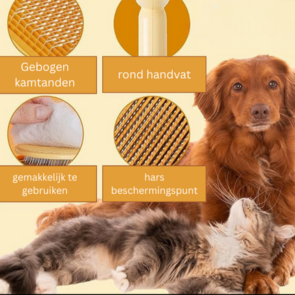 PurrGlow kattenborstel | Verwijdert moeiteloos losse haren en klitten | Vermindert haaruitval | Stimuleert een gezonde, glanzende vacht | Stressvrij borstelen