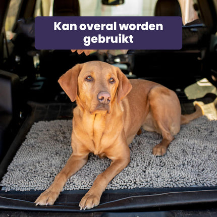 CleanPaw | Hou Je Huis Schoon, Voorkom Modderige Pootafdrukken Na Wandelingen Met Je Hond