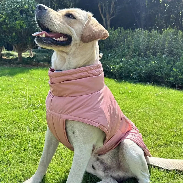 PawShield geïsoleerde hondenjas voor winterweer | Beschermend, reflecterend en waterafstotend | Verstelbare pasvorm voor kleine en grote honden