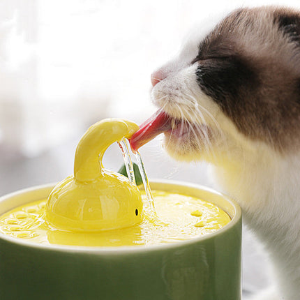 BunnyFlow kattenfontein | Automatische waterdispenser voor katten | Stil ontwerp | Groot reservoir | Met filtersysteem voor schoon en vers water | BPA-vrij | Geschikt voor huisdieren