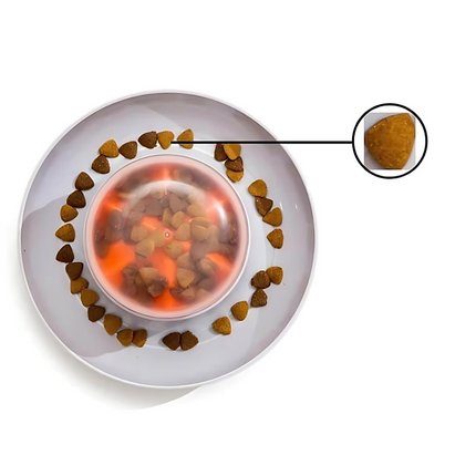 PawMaze interactieve hondenvoerbak | Slowfeeder voor langzamer eten | Mentale stimulatie | Voedselveilig en duurzaam | Geschikt voor alle hondenrassen