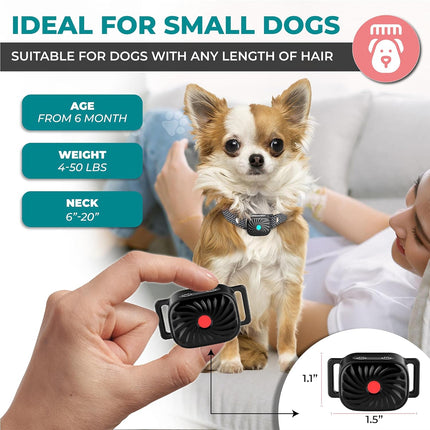 PawSilence anti-blaf halsband voor kleine honden | Verstelbare waterbestendige trainingshalsband tegen overmatig blaffen | Comfortabel en effectief in alle weersomstandigheden