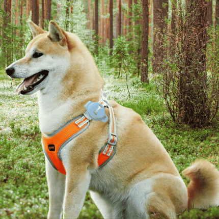 FurryFinder GPS tracker voor huisdieren | Realtime locatiebepaling | Lange batterijduur | Eenvoudige bediening via app | Veiligheid voor honden en katten