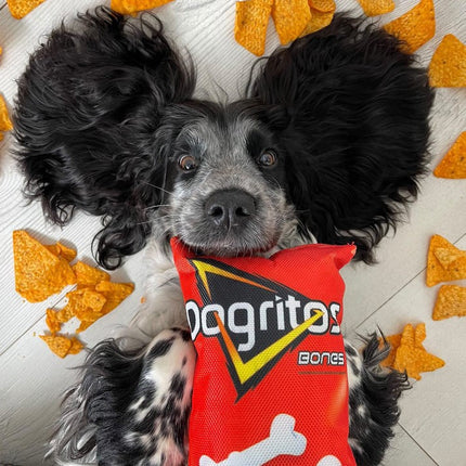 Fleece Knisper Speelgoed voor Honden | Duurzaam en Interactief | Stimuleert Kauwgedrag | Bevordert Gezond Gebit | Antivervelingsspeeltje | 17x14 cm | 40g