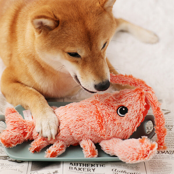 Interactief Speelgoed Kreeft | Mentale Stimulatie voor Honden | Onvoorspelbare Bewegingspatronen | Angstreductie en Lichamelijke Activiteit | Houdt Honden Urenlang Vermaakt | Voorkomt Destructief Kauwen | Piepend Plezier voor Actieve Honden