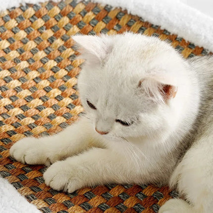 Comfortabel kattenbed met zachte rand | Hypoallergeen materiaal | Antislip | Stevig & stijlvol ontwerp | Voor kittens en volwassen katten