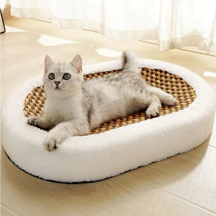 Comfortabel kattenbed met zachte rand | Hypoallergeen materiaal | Antislip | Stevig & stijlvol ontwerp | Voor kittens en volwassen katten