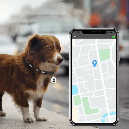 GPS Tracker voor Kat & Hond zonder abonnement | PawPositie Watcher