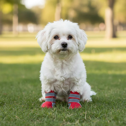 Waterproof, breathable dog shoes | Rain and snow protection | Non-slip sole | Pack of 4
