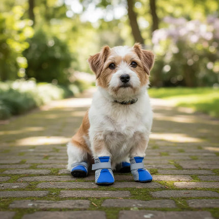 Waterproof, breathable dog shoes | Rain and snow protection | Non-slip sole | Pack of 4