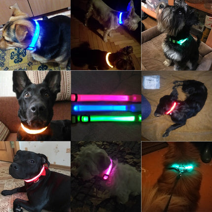 LED-halsband hond | Verhoogde zichtbaarheid in het donker | Meerdere en | Oplaadbaar | Duurzaam en waterbestendig | Geschikt voor alle hondenmaten