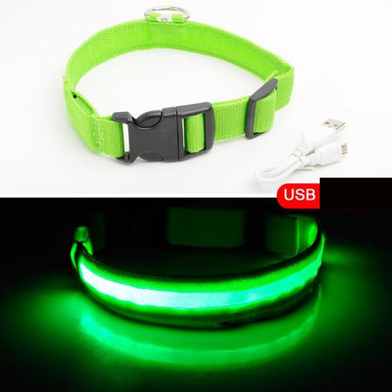 LED-halsband hond | Verhoogde zichtbaarheid in het donker | Meerdere en | Oplaadbaar | Duurzaam en waterbestendig | Geschikt voor alle hondenmaten