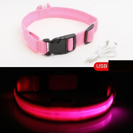 LED-halsband hond | Verhoogde zichtbaarheid in het donker | Meerdere en | Oplaadbaar | Duurzaam en waterbestendig | Geschikt voor alle hondenmaten