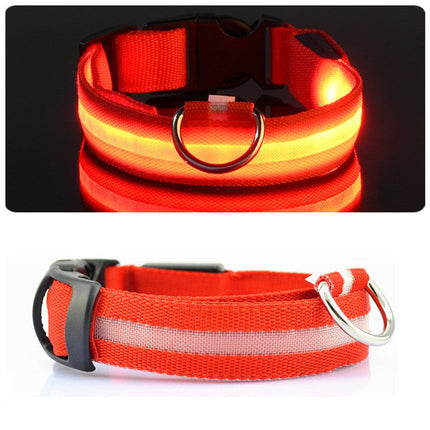 LED-halsband hond | Verhoogde zichtbaarheid in het donker | Meerdere en | Oplaadbaar | Duurzaam en waterbestendig | Geschikt voor alle hondenmaten