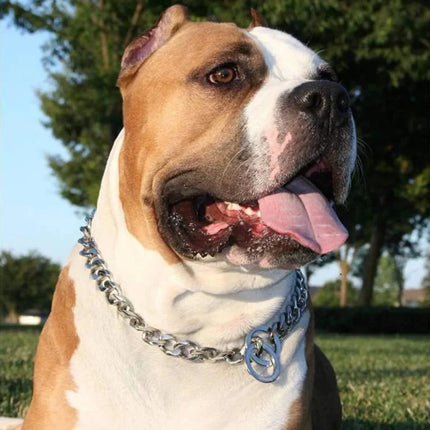 Obroża dla psa ze stali nierdzewnej | Wzór kubański | Wysoka jakość | Szybkie zapięcie | Idealna na spacery i trening | Wygodna | Luksusowa i wytrzymała | Odpowiednia dla wszystkich psów