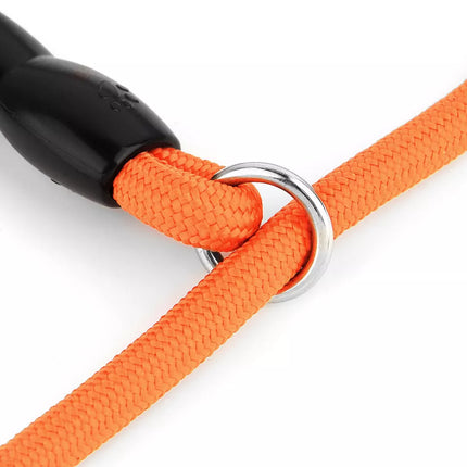 Nylon Verstelbare Halsband Voor Honden | Training en Wandelen | Hoogwaardige Veiligheidssluiting | Comfortabele Pasvorm | Geschikt Voor Alle Maten & Rassen | Rood, Blauw, Zwart of Oranje