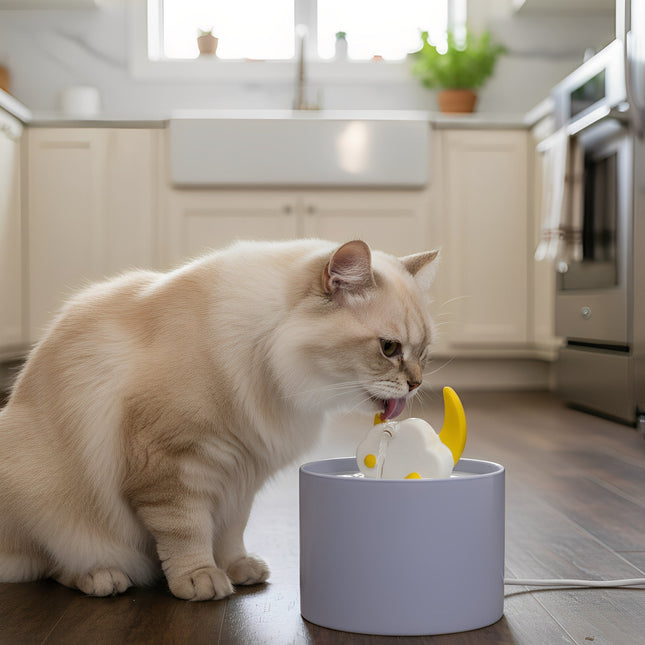 SafeSip Cat Drinking Fountain | Ceramic and Quiet | With Water Filter | Pet Care | Whisper-Quiet | Continuous Filtered Water Flow