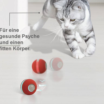 Cheerble® Interactieve Bal 2.0 | Slim Speelgoed met 360° Sensoren voor Katten en Kleine Honden | USB-oplaadbaar | 4 Uur Plezier