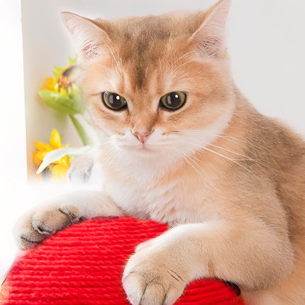 Drapak dla kota Shroomi | Wzór grzyba sizalowego | Instynkt drapania | Dekoracyjne zabawki dla zwierząt