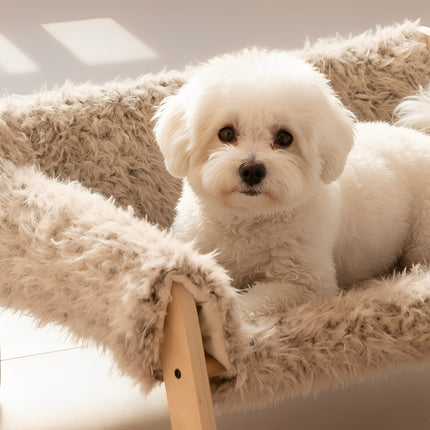 SnugLift | Podwyższone legowisko dla zwierząt, drewniane | Wygodnie składane nad ziemią | Trwałe meble dla zwierząt