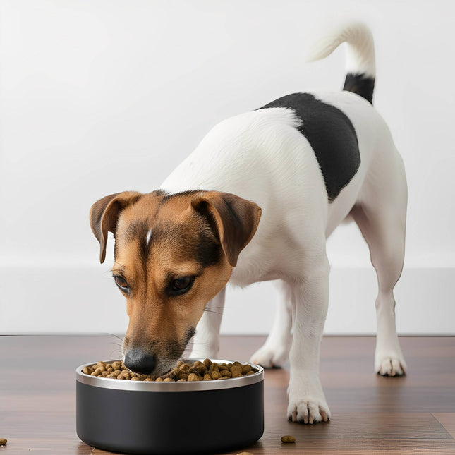 SteadiBowl | Stainless Steel Dog Food Bowl | Non-Slip | Prevents Sliding | Durable | Easy to Clean