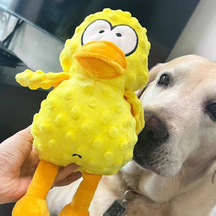 Kauwspeeltje voor honden | Stevige knuffelbeer van duurzaam polyester | Ideaal voor sterke kauwers | Zacht & rijk ontwerp | Stressvermindering